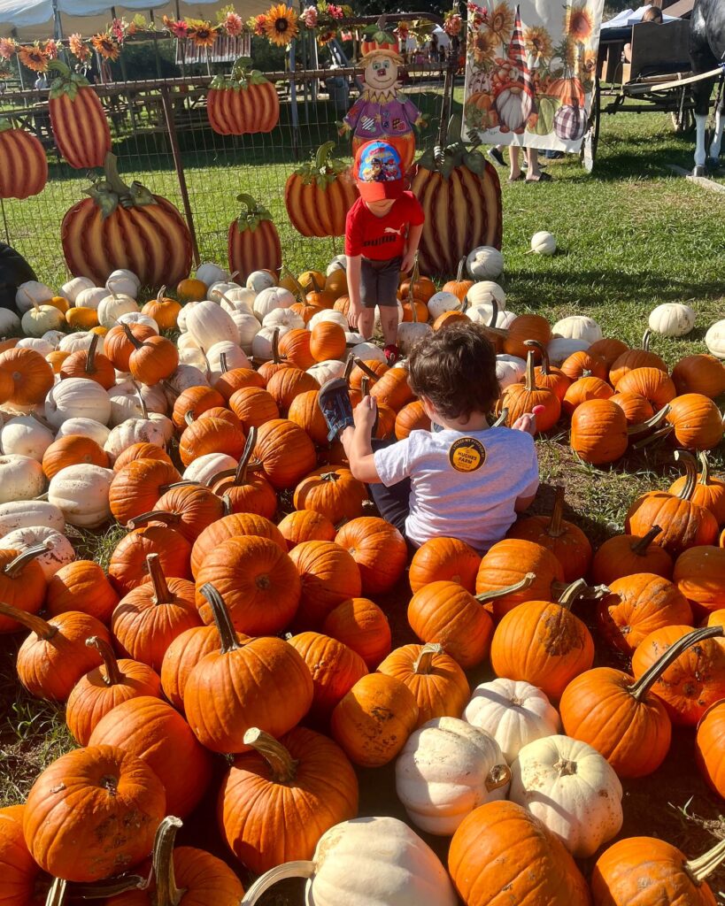 ABA Therapy Maryland Heights MO